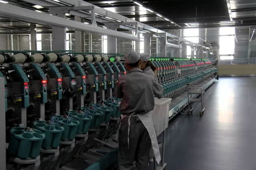 清河羊絨產業邁向有機智能高端化