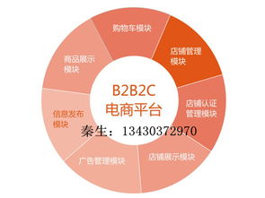 B2B2C商城系統(tǒng)定制開發(fā) 打造個性化電商解決方案